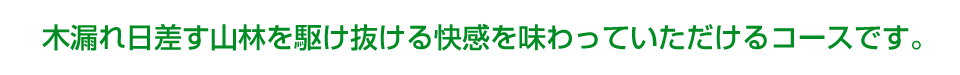 木漏れ日差す山林を駆け抜ける快感を味わっていただけるコースです。