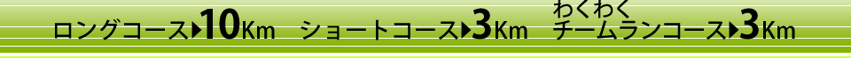 ロングコース10Km・ショートコース3Km・わくわくチームランコース3Km